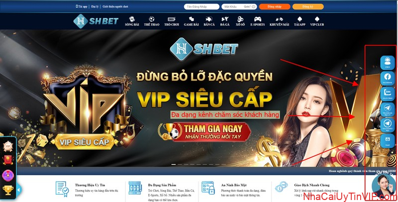 Dịch vụ chăm sóc khách hàng