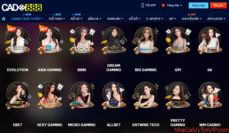 Casino trực tuyến