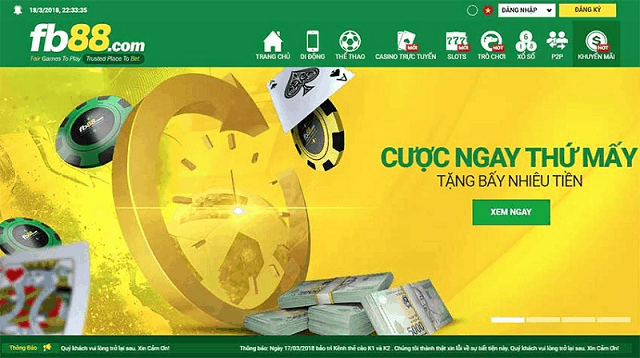 Cung cấp rất nhiều những khuyến mãi Cung cấp rất nhiều những khuyến mãi