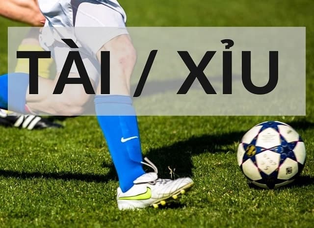 Khi nào nên đặt Tài? Khi nào nên đặt Tài?