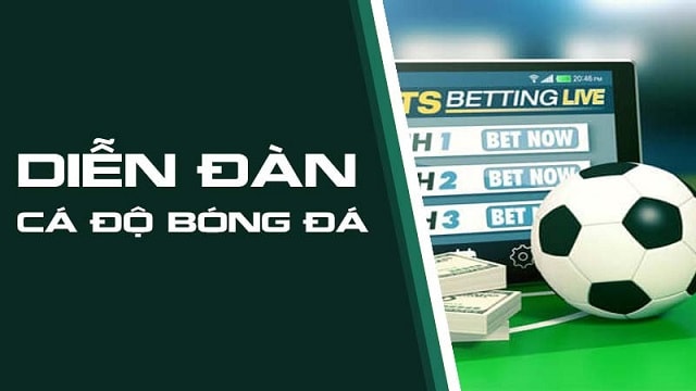 Thế nào được gọi là diễn đàn cá độ bóng đá? Thế nào được gọi là diễn đàn cá độ bóng đá?