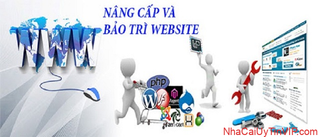 Bảo trì hệ thống theo quy định của thương hiệu Bảo trì hệ thống theo quy định của thương hiệu