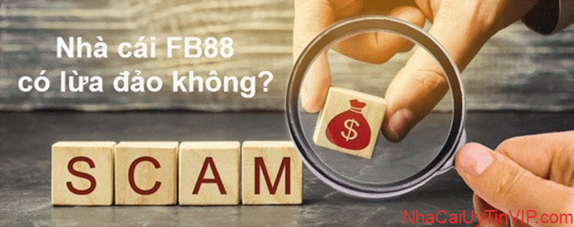 Bạn đã có câu trả lời chính xác nhất về việc FB88 có lừa đảo hay chưa? Bạn đã có câu trả lời chính xác nhất về việc FB88 có lừa đảo hay chưa?