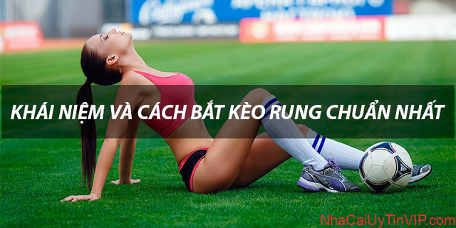 Bắt kèo rung sao cho hiệu quả nhất? Bắt kèo rung sao cho hiệu quả nhất?