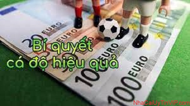 Cá độ thành công tại FB88 Cá độ thành công tại FB88