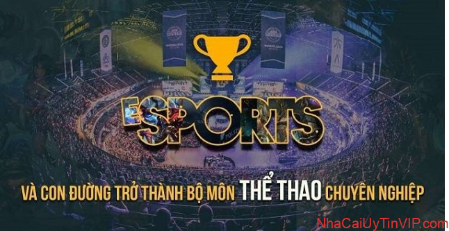 Các sản phẩm game FB88 sport đình đám trên thị trường Các sản phẩm game FB88 sport đình đám trên thị trường