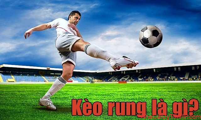 Chăm sóc khách hàng chuyên nghiệp Chăm sóc khách hàng chuyên nghiệp