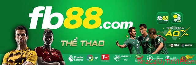 Code FB88 giúp đại lý có thể kiểm soát thành viên một cách linh hoạt Code FB88 giúp đại lý có thể kiểm soát thành viên một cách linh hoạt