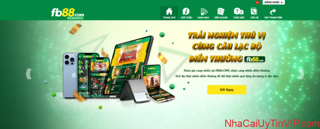 Điểm thưởng tại FB88 được tính như thế nào? Điểm thưởng tại FB88 được tính như thế nào?