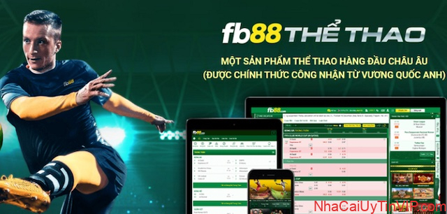 Đối với các tay đua mới vài nghề cần phải nắm rõ hơn về hình thức Kết quả và tính chất cược Đối với các tay đua mới vài nghề cần phải nắm rõ hơn về hình thức Kết quả và tính chất cược