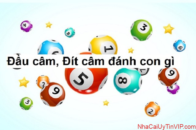 FB88 soi cầu miễn phí lô đề kép dựa vào đầu câm, đít câm FB88 soi cầu miễn phí lô đề kép dựa vào đầu câm, đít câm