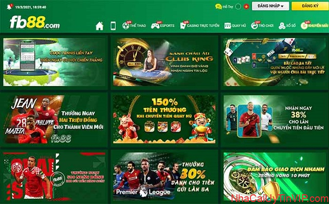 Hỗ trợ thành viên chuyên nghiệp Hỗ trợ thành viên chuyên nghiệp