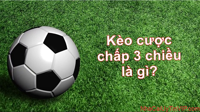 Khái niệm kèo chấp 3 chiều Khái niệm kèo chấp 3 chiều