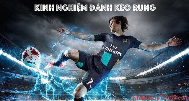 Lý do nên tham gia cá cược tại nhà cái FB88 Lý do nên tham gia cá cược tại nhà cái FB88