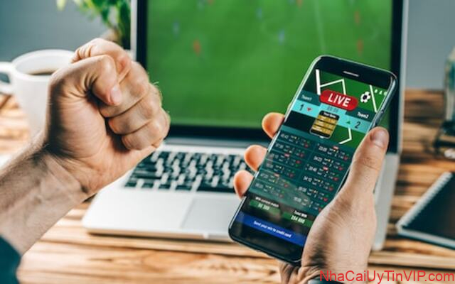 Một vài kinh nghiệm cá cược thành công mà người chơi nên biết. Một vài kinh nghiệm cá cược thành công mà người chơi nên biết.