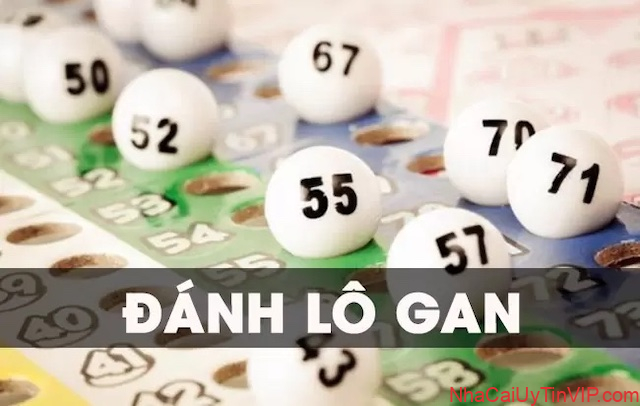 Những cách bắt lô gan mà bạn hãy nên thử một lần Những cách bắt lô gan mà bạn hãy nên thử một lần
