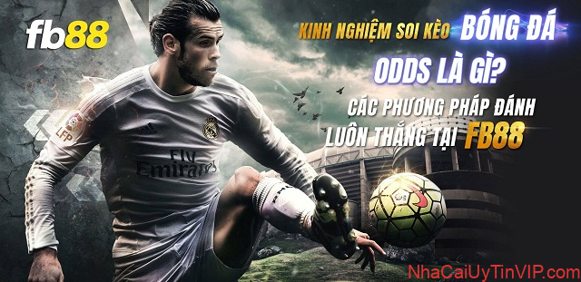 Phương pháp soi kèo chấp hiệu quả Phương pháp soi kèo chấp hiệu quả