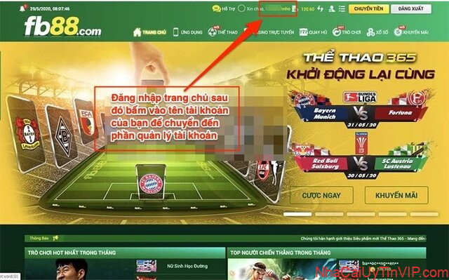 Thuật ngữ tỷ lệ kèo hòa hoàn tiền đối với các dân chơi chuyên nghiệp không còn xa lạ với họ Thuật ngữ tỷ lệ kèo hòa hoàn tiền đối với các dân chơi chuyên nghiệp không còn xa lạ với họ