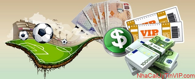 Thực hiện tất cả mọi hình thức cá cược Thực hiện tất cả mọi hình thức cá cược