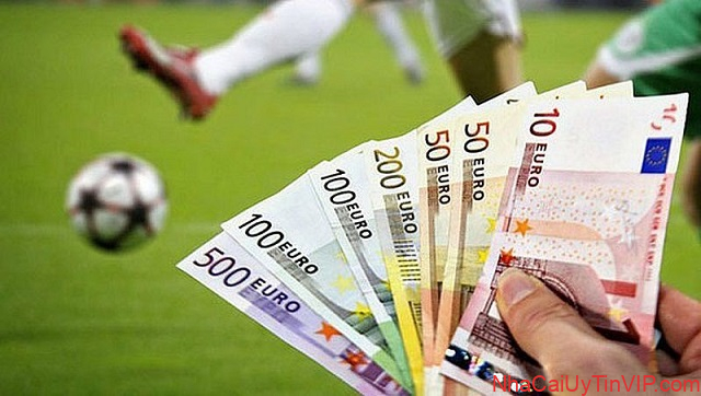 Tìm hiểu và nghiên cứu kĩ về đội bóng Tìm hiểu và nghiên cứu kĩ về đội bóng
