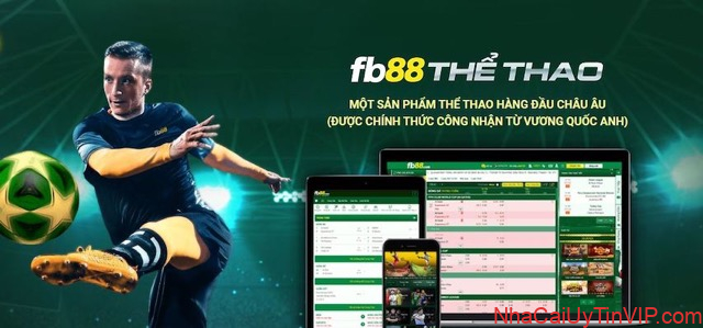 Trong đó loại hình thể thao luôn được ưa chuộng nhất Trong đó loại hình thể thao luôn được ưa chuộng nhất