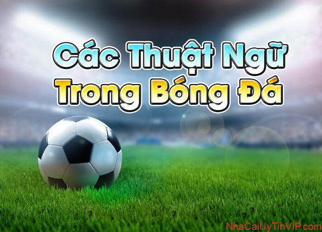 Các thuật ngữ hay gặp trong cá độ bóng đá Các thuật ngữ hay gặp trong cá độ bóng đá