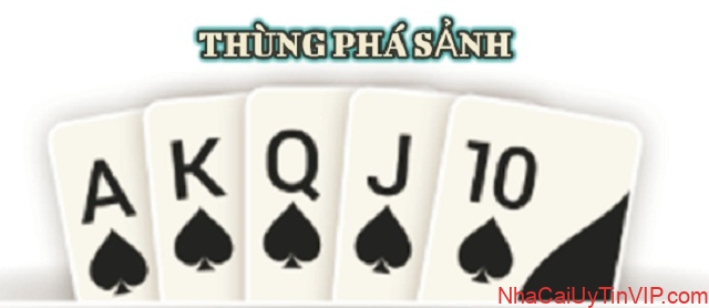Nắm bắt nguyên tắc kết hợp bài tạo thành thùng phá sảnh Nắm bắt nguyên tắc kết hợp bài tạo thành thùng phá sảnh