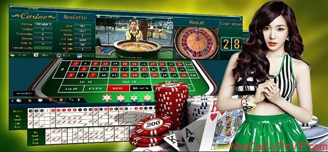 Sân chơi cá cược Casino được tổ chức công bằng và minh bạch Sân chơi cá cược Casino được tổ chức công bằng và minh bạch