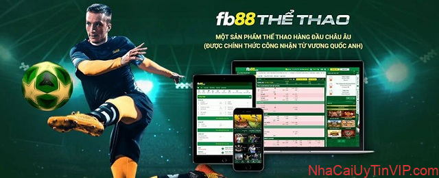 Tìm đến giao diện cung cấp dịch vụ thể thao Tìm đến giao diện cung cấp dịch vụ thể thao