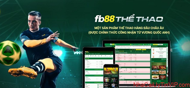 Trò cá cược bóng đá tại nhà cái FB88 được rất nhiều người ưa chuộng Trò cá cược bóng đá tại nhà cái FB88 được rất nhiều người ưa chuộng