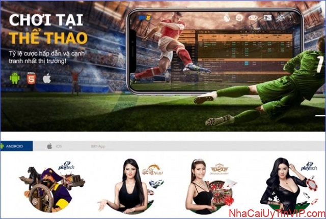 Ảnh 4: Cá cược thể thao được rất nhiều anh em cược thủ yêu thích